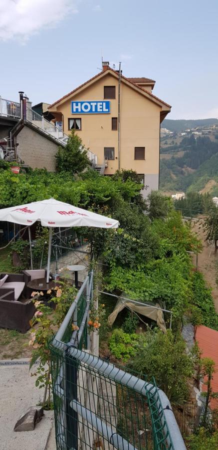 Hotel Alina Cangas De Narcea Dış mekan fotoğraf