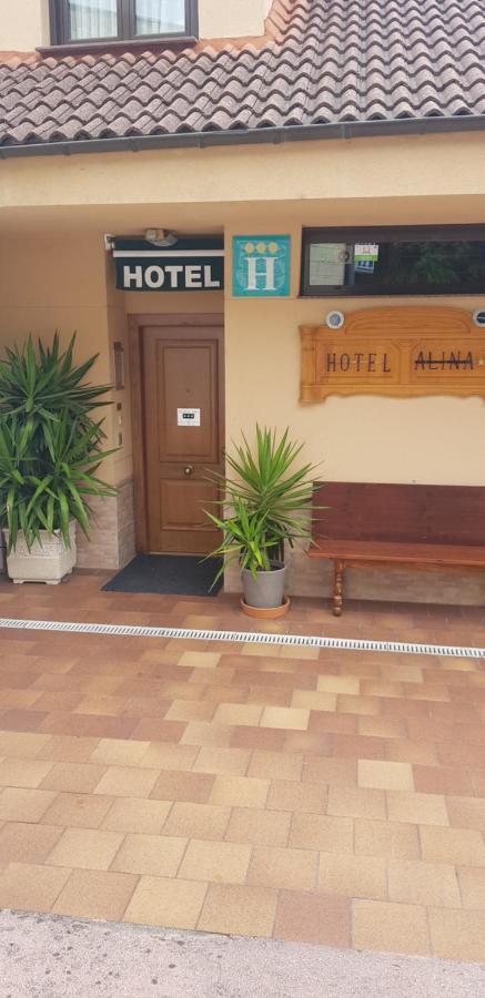 Hotel Alina Cangas De Narcea Dış mekan fotoğraf