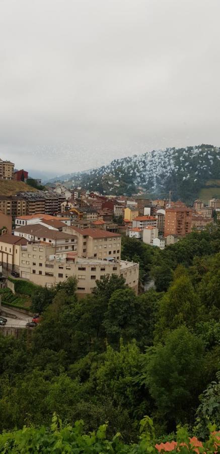 Hotel Alina Cangas De Narcea Dış mekan fotoğraf