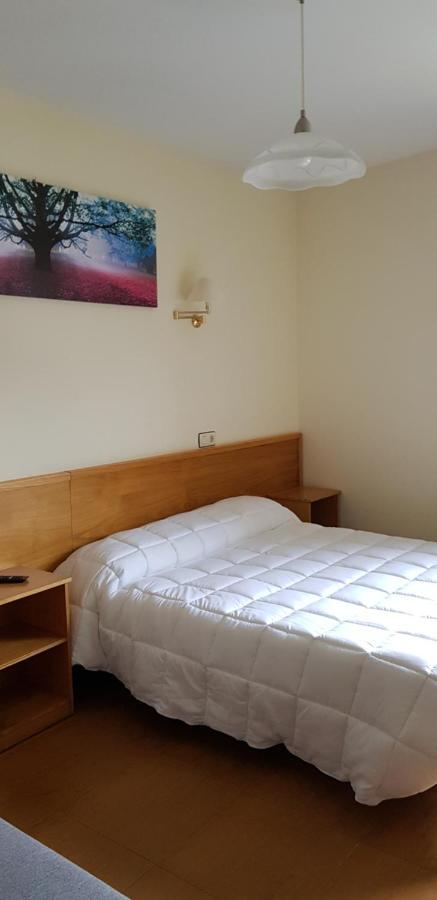 Hotel Alina Cangas De Narcea Dış mekan fotoğraf