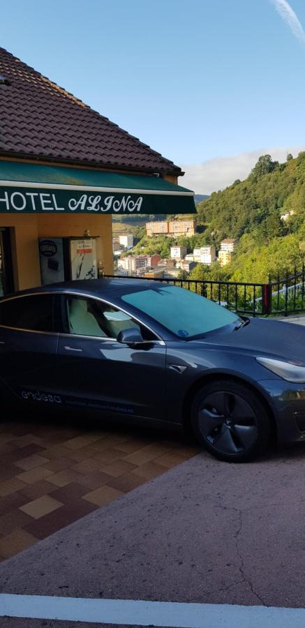 Hotel Alina Cangas De Narcea Dış mekan fotoğraf