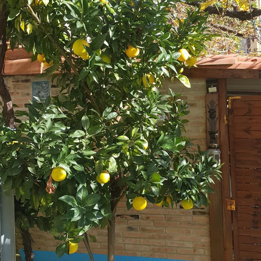 Hotel Alina Cangas De Narcea Dış mekan fotoğraf