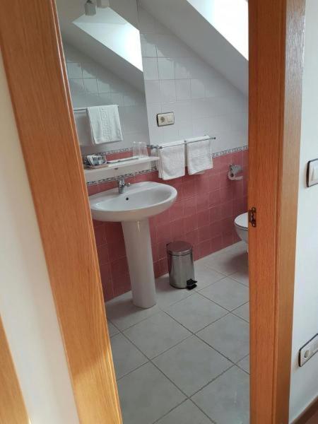 Hotel Alina Cangas De Narcea Dış mekan fotoğraf