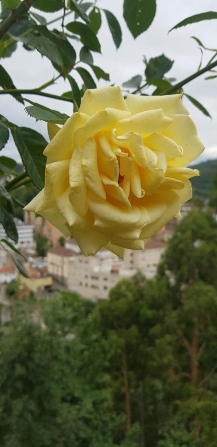 Hotel Alina Cangas De Narcea Dış mekan fotoğraf
